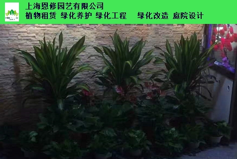 上海办公室植物租赁热搜第一芳心草园艺商标