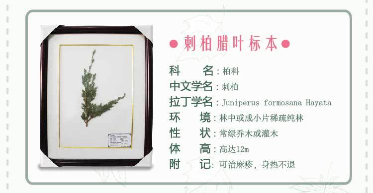 扬州大学生物科学与技术学院植物标本的采集与腊叶标本